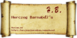 Herczog Barnabás névjegykártya